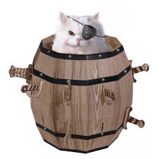 cat-barrel-01.jpg