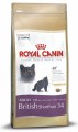 Royal Canin-BRITISH Shorthair34(BSH)英國短毛貓配方-04KG