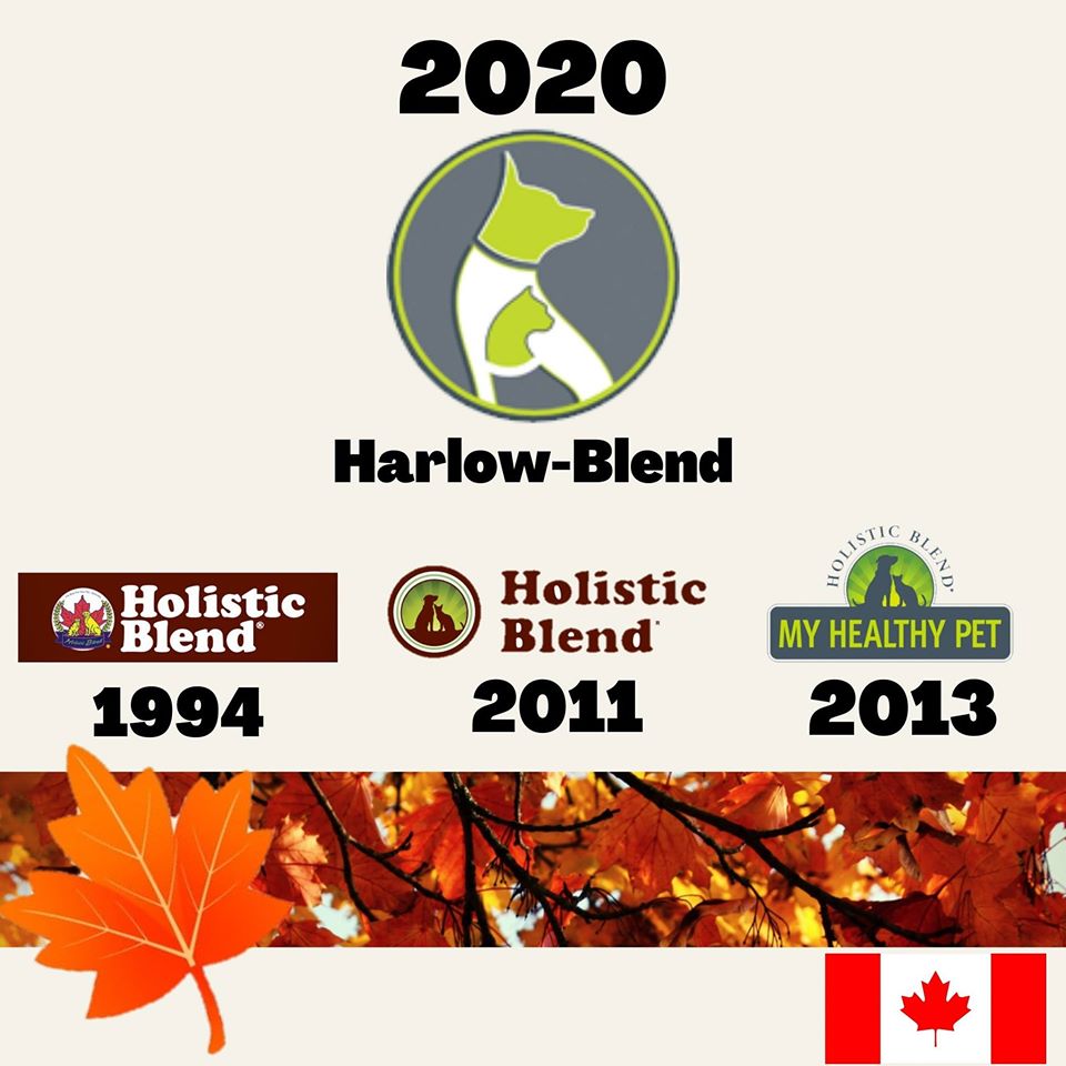 harlow-blend-logo-change.jpg
