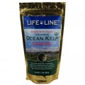 Life Line Organic Ocean Kelp 有機海藻粉 8oz