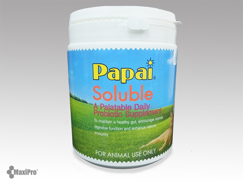 Papai「巴派」葡萄靈 500g