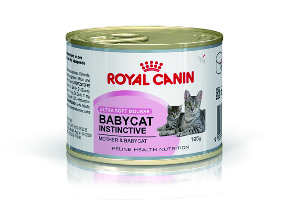 ROYAL CANIN (BB02) 1-4个月BB貓罐头 195g