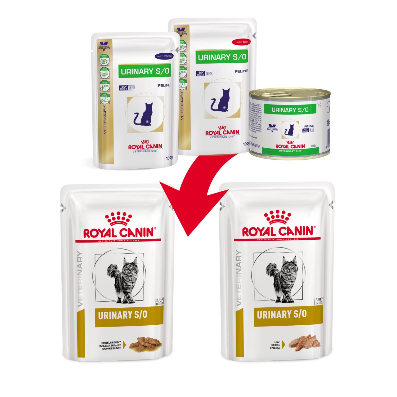 Royal Canin - Urinary S/O(in Loaf) (雞味)獸醫配方貓濕包 - 85克 x 12包