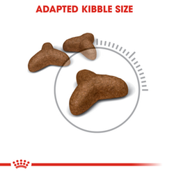 Royal Canin 減肥貓配方貓糧 - 8kg