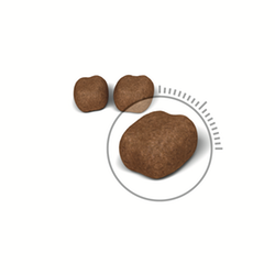 Royal Canin 去牙石配方貓糧-1.5kg
