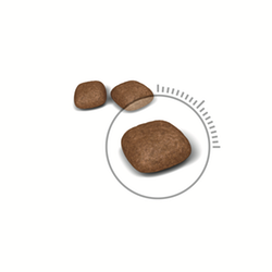 Royal Canin-Urinary Care(UC33)防尿石配方貓糧-02kg