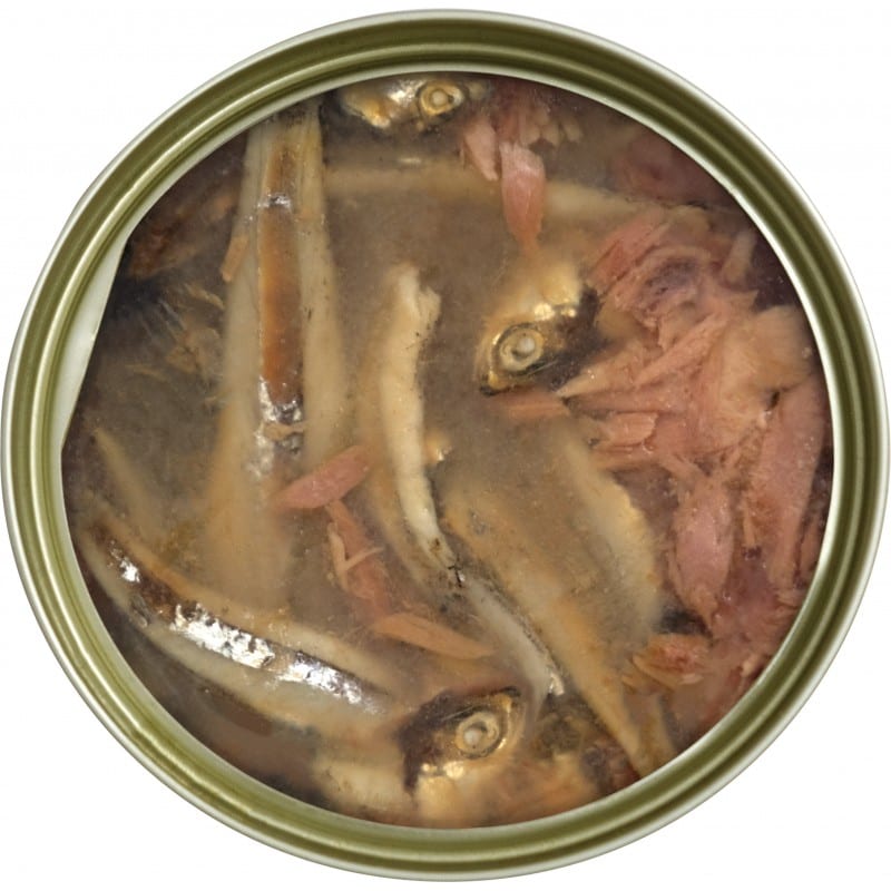 SALICAN 經典吞拿魚系列 吞拿魚 鯷魚 TUNA WHITE MEAT WITH ANCHOVY IN JELLY 主食罐 橙 85G