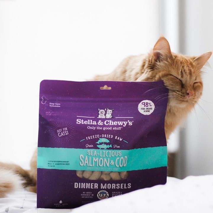 Stella & Chewy's 脫水貓糧 Freeze Dried Sea Licious Salmon Cod Dinner - 三文魚鱈魚配方 8oz