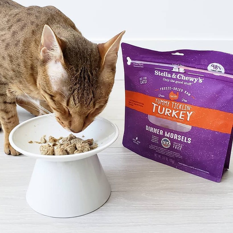 Stella & Chewy's -脫水貓糧 Freeze Dried Dinner Morsels For Cat 火雞肉配方 08oz