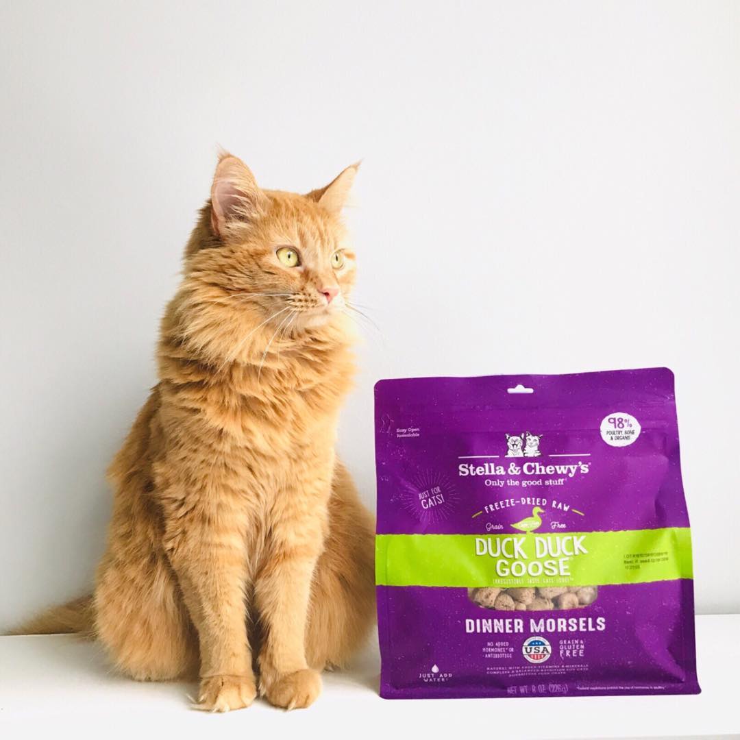 Stella & Chewy's 脫水貓糧 Freeze Dried Dinner Morsels For Cat 鴨鵝肉配方 08oz