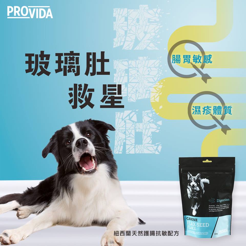 ProVida Digest-Aid With Probiotics 整腸益生菌玻璃肚救星 200g