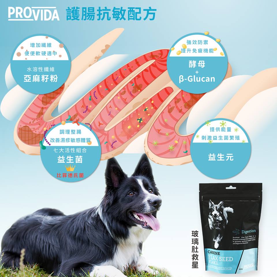 ProVida Digest-Aid With Probiotics 整腸益生菌玻璃肚救星 200g