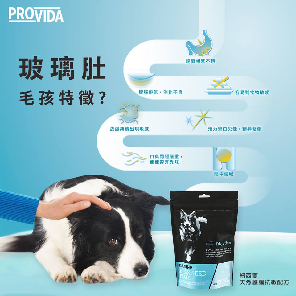 ProVida Digest-Aid With Probiotics 整腸益生菌玻璃肚救星 200g
