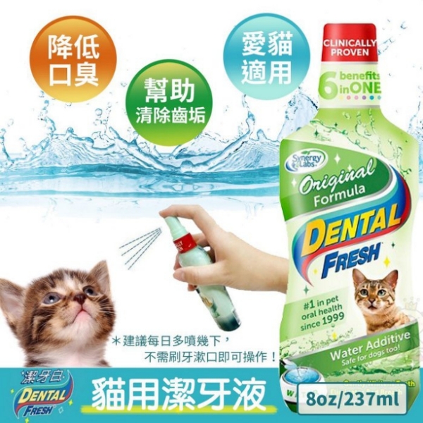 synergy labs Dental Fresh - 飲用式貓用漱口水(美白,殺菌)