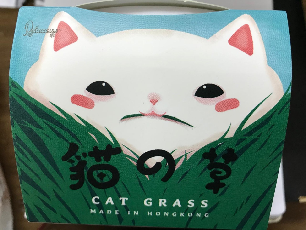 貓之草 超简易水种貓草
